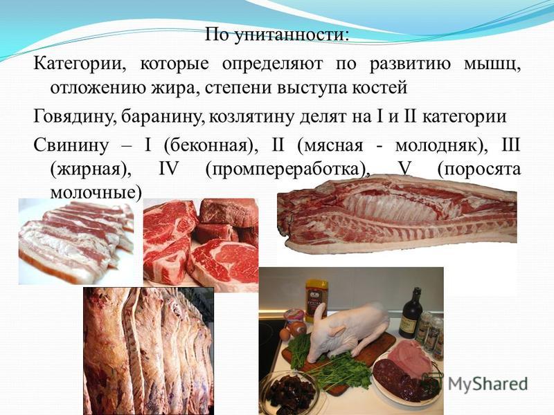 Мясо мдк. Соединительная ткань мяса. Категории мяса. Баранина классификация мяса. Мышечная ткань говядины.