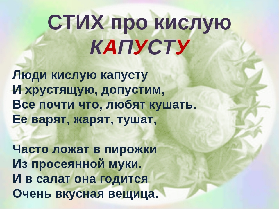 С какого века люди знают о квашении. Стих про капусту. Стих про капусту для детей. Стихотворение про капусту для детей. Смешные стихи про капусту.