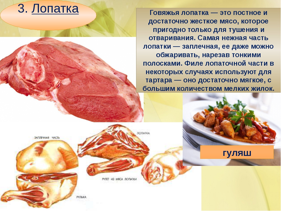 Говядина лопатка что приготовить. Части мяса для тушения. Кулинарное использование частей туши говядины. Лопатка часть говядины. Кулинарное Назначение лопатки говядины.