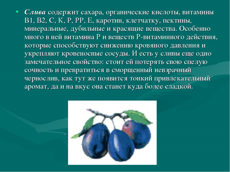 Польза чернослива для организма. Чем полезна слива. Полезные вещества сливы. Сообщение о сливе. Полезные свойства сливы.