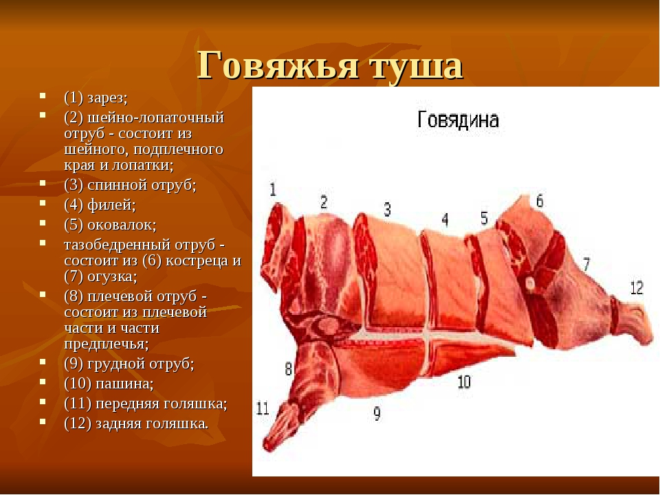 Части мяса говядины при разделке названия и фото