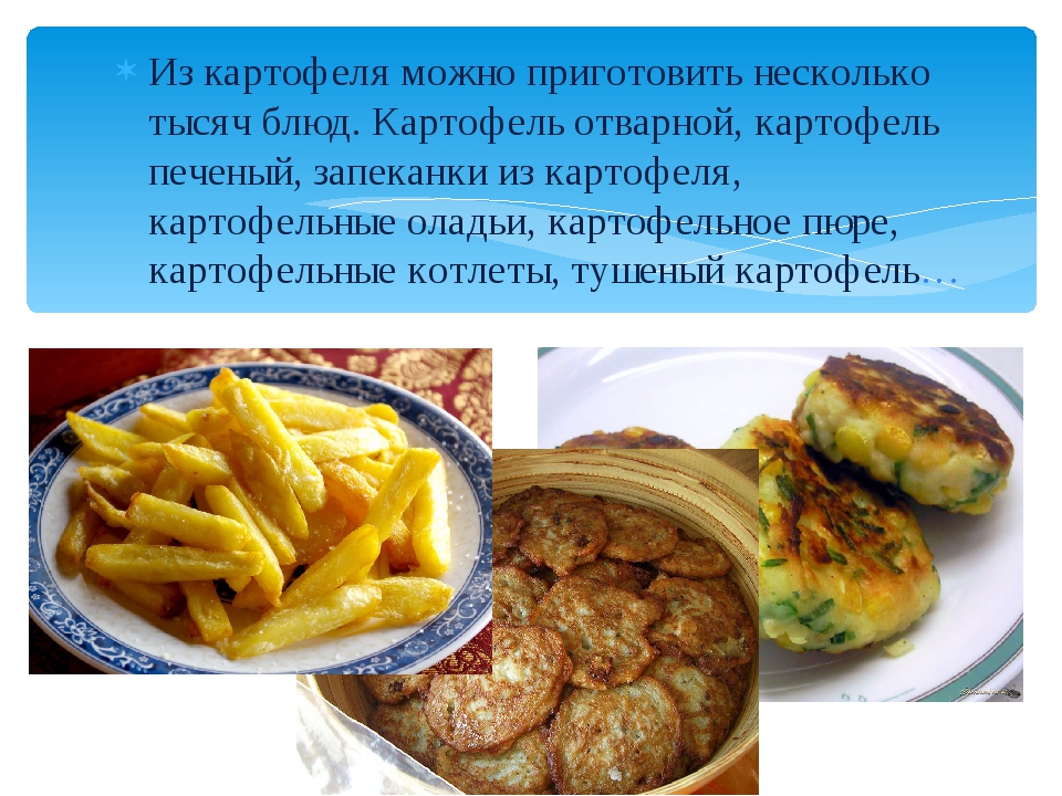 Классификация блюд из картофеля отварного