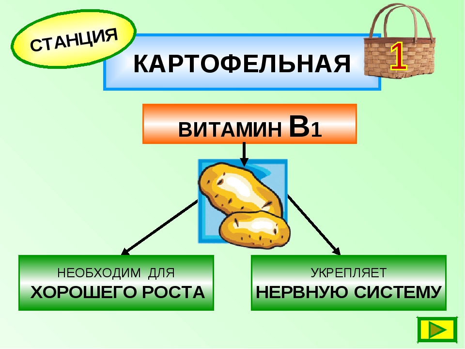 Составляющие картофеля. Витамины в картошке. Витамины содержащиеся в картошке. Картошка какие витамины содержит. Какие витамины в картофеле.