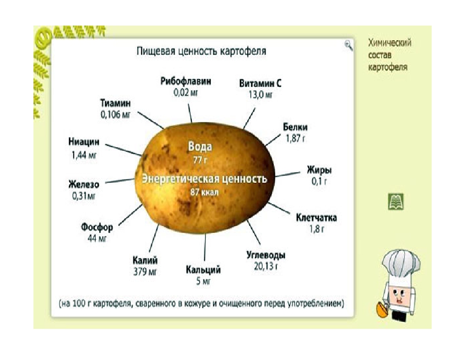 Составляющие картофеля. Картошка биология. Схема картофеля биология. Пищевая ценность картошки. Состав клубня картофеля.