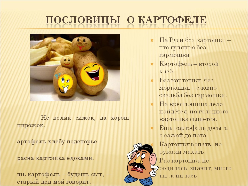 Проекты про картофель