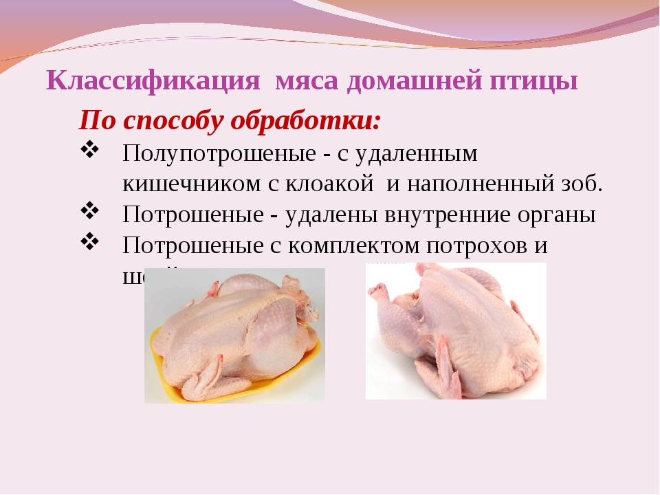 Мясо птицы 8 кл технология казакевич презентация