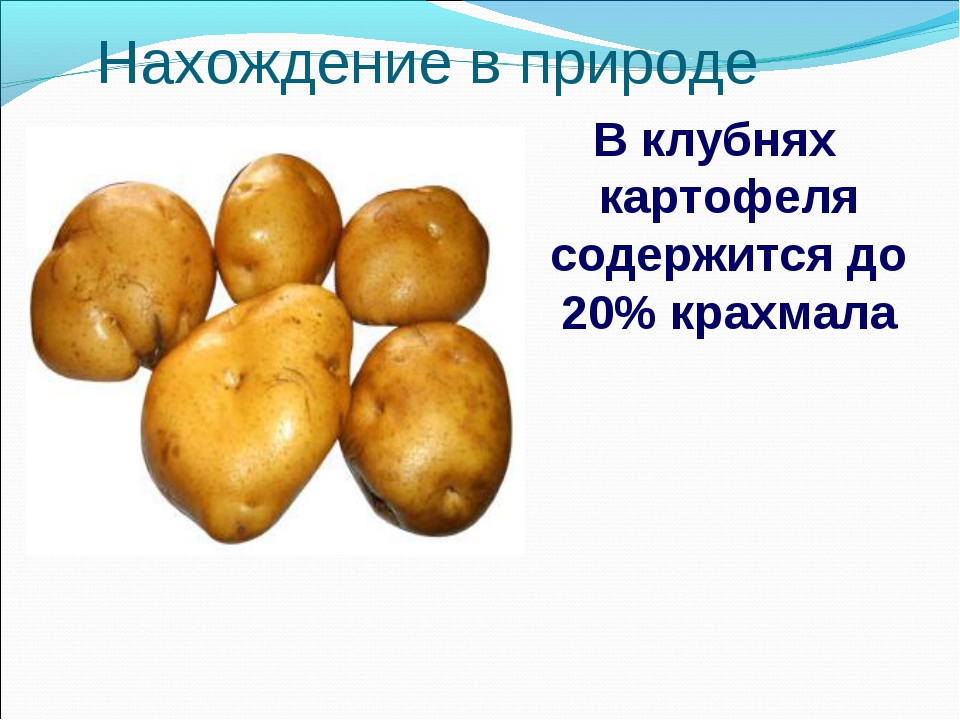В картофеле есть вода. Крахмал в картошке. Картофель презентация. В клубнях картофеля содержится. Выявление крахмала в картофеле.
