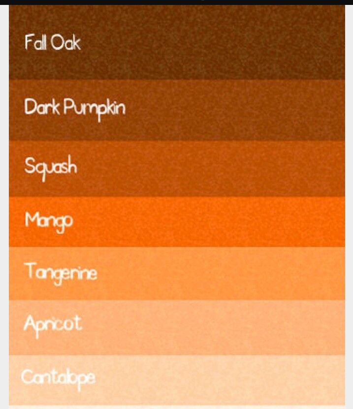 Оранжево коричневый цвет. Оттенки оранжевого цвета названия. Оранжевые цвета названия. Коричнево-оранжевый цвет название. Цвет оранжевые тона названия.
