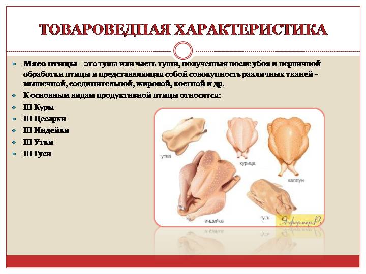 Приготовление полуфабрикатов из птицы и дичи