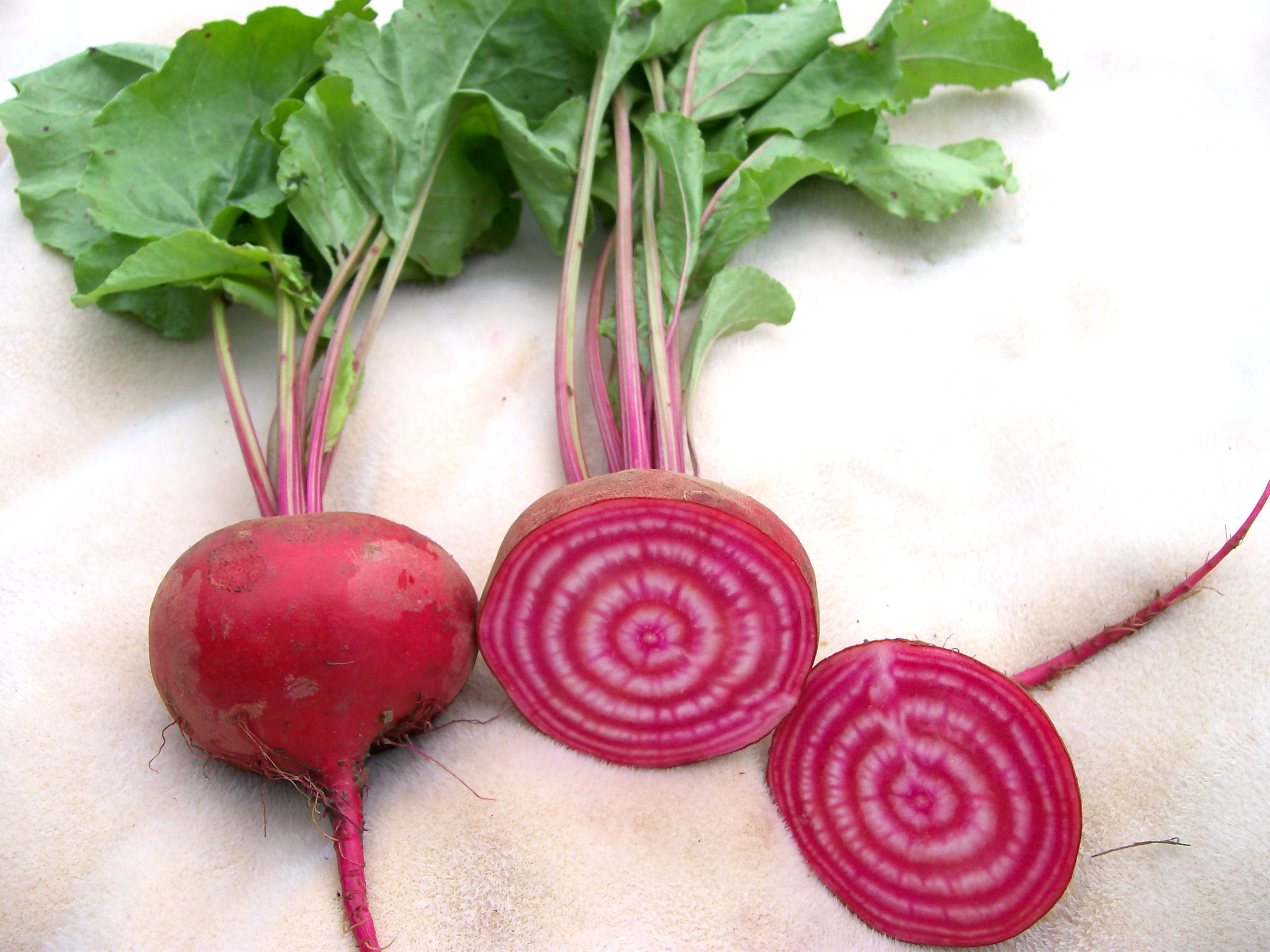 Белая свекла. Beetroot Chioggia. Свекла Chioggia. Чиоггия свекла. Свекла Кьоджиа.