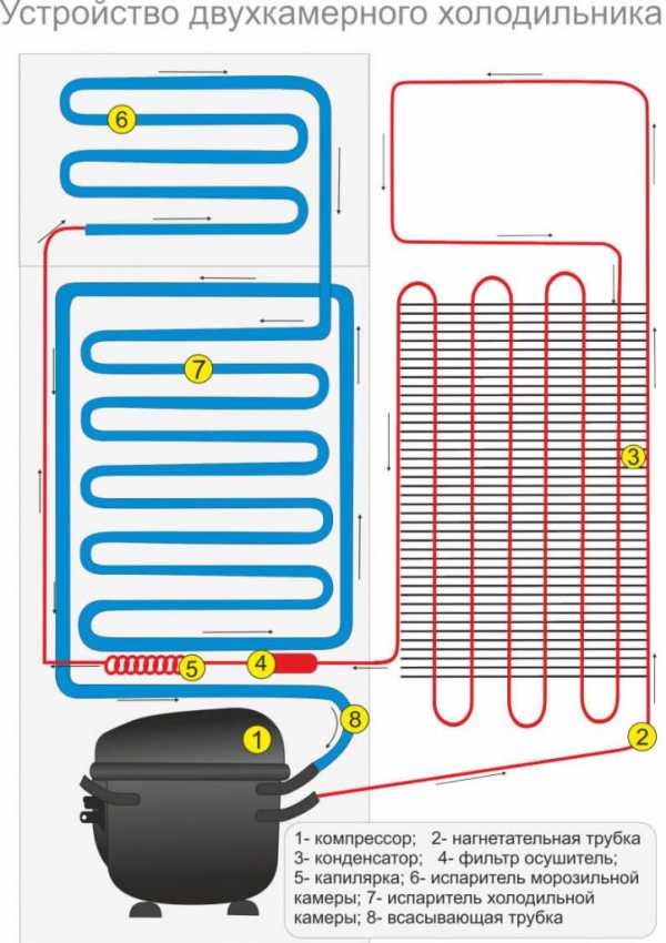 Схема работы двухкамерного холодильника с одним компрессором